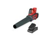 PACK SOUFFLEUR BATTERIE HONDA HHB36BXB