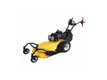 DEBROUSSAILLEUSE ROQUES L. RECATO GATOR