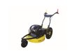 DEBROUSSAILLEUSE ROQUES LECOEUR RL2006B