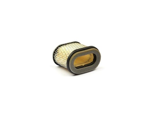 GOLF & TURF - MOTEURS TURF - FILTRE A AIR (VF273356S)