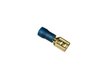 COSSE PLATE BLEUE FEMELLE lg6,4MM BLISTEDE 10 PIECES