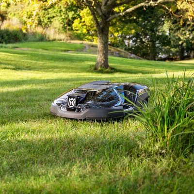 be-article-articleCategory-9c982f87d2765a - image 1