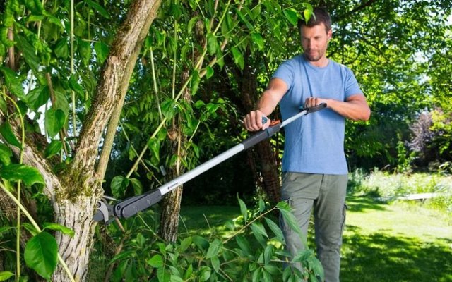 GOLF & TURF - DIVERS - COUPE-BRANCHES SLIMCUT GARDENA