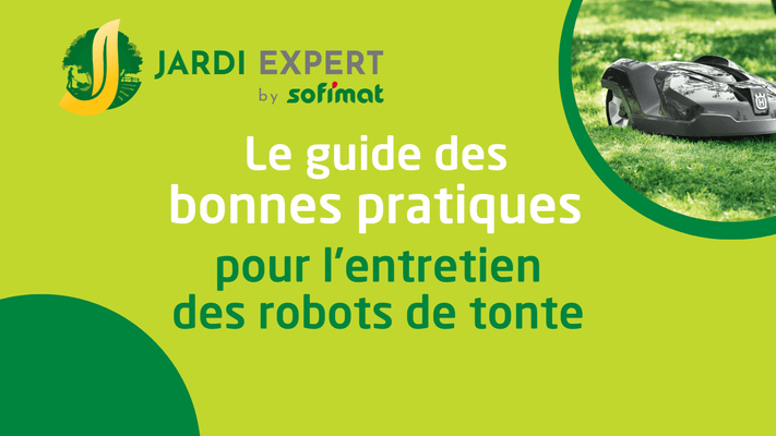 Le Guide Complet des bonnes pratiques robots 
