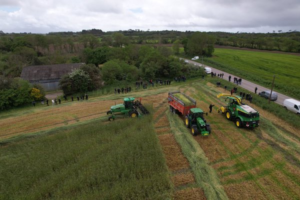 Article de presse Terra - Journée ensilage de seigle 