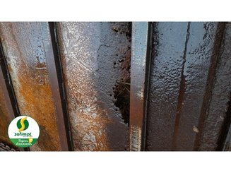 Pailleuse Lucas ABEILLE12 - 4